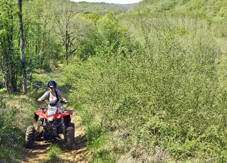 Fórmulas en quad en el campo